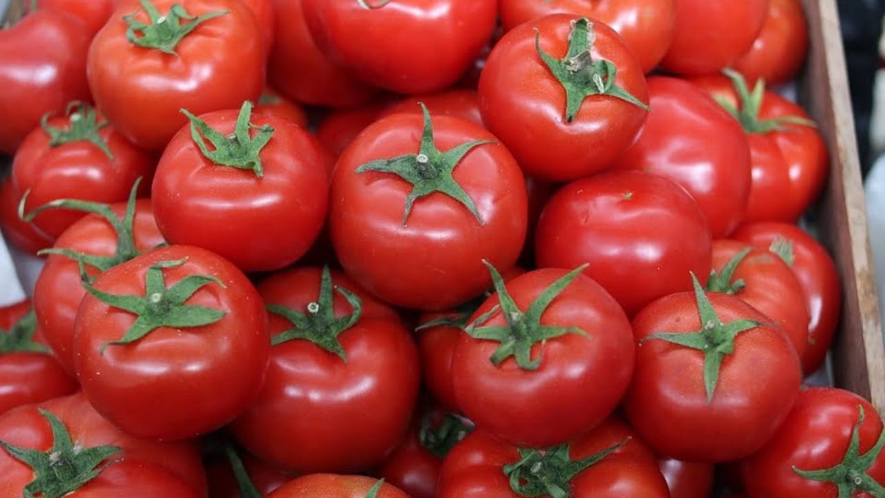 Tomato : టమాటాల‌కు బౌన్స‌ర్ల ర‌క్ష‌ణ‌..!