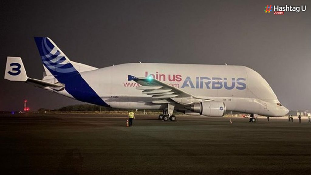 Airbus Whale