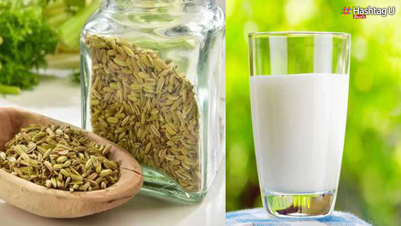 Fennel Seeds Milk: బ్రెయిన్‌ షార్ప్‌ అవ్వాలంటే ఈ పాలను తాగండి..