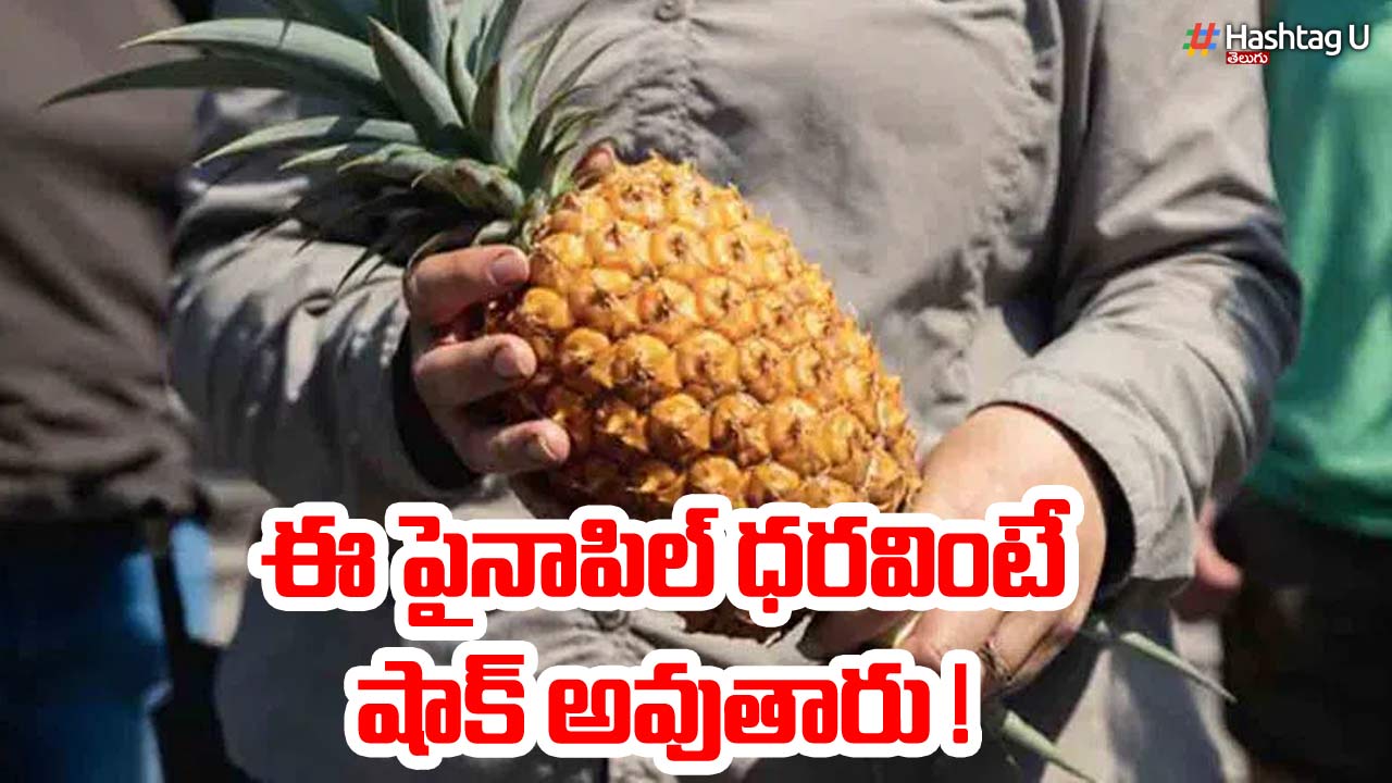 Pineapple: అత్యంత ఖరీదైన పైనాపిల్‌ ఎక్కడో తెలుసా?