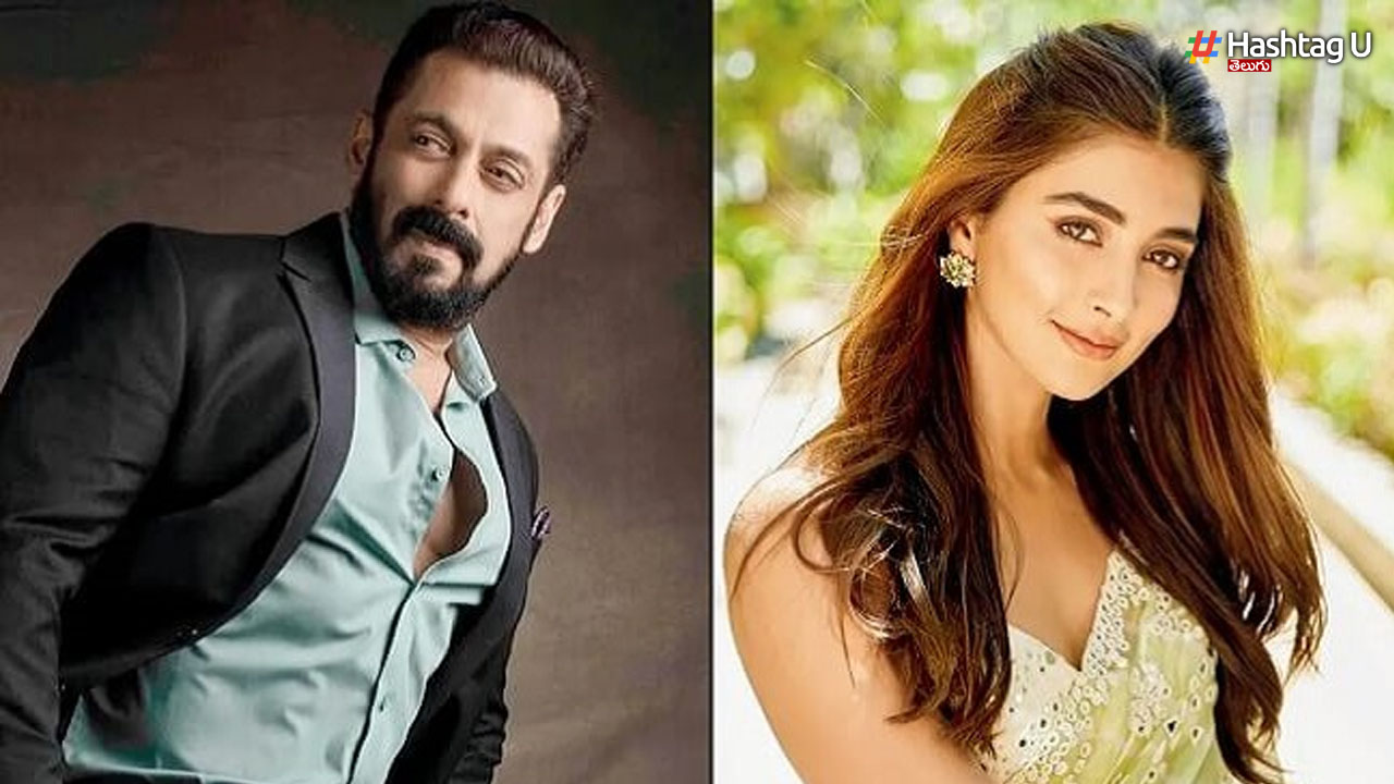 Salman Likes Pooja: టాలీవుడ్ బ్యూటీపై మనసు పారేసుకున్న సల్మాన్.. పూజకు క్రేజీ ఆఫర్!