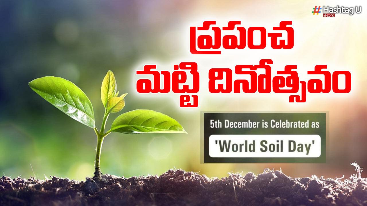 World Soil Day: ప్రపంచ మట్టి దినోత్సవం..