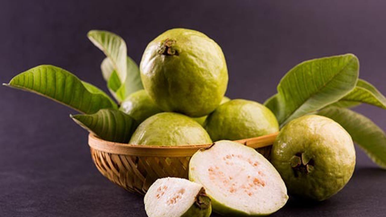 Guava leaves: జామపండ్ల వల్లే కాదండోయ్ ఆకుల వల్ల కూడా ఎన్నో ప్రయోజనాలు?