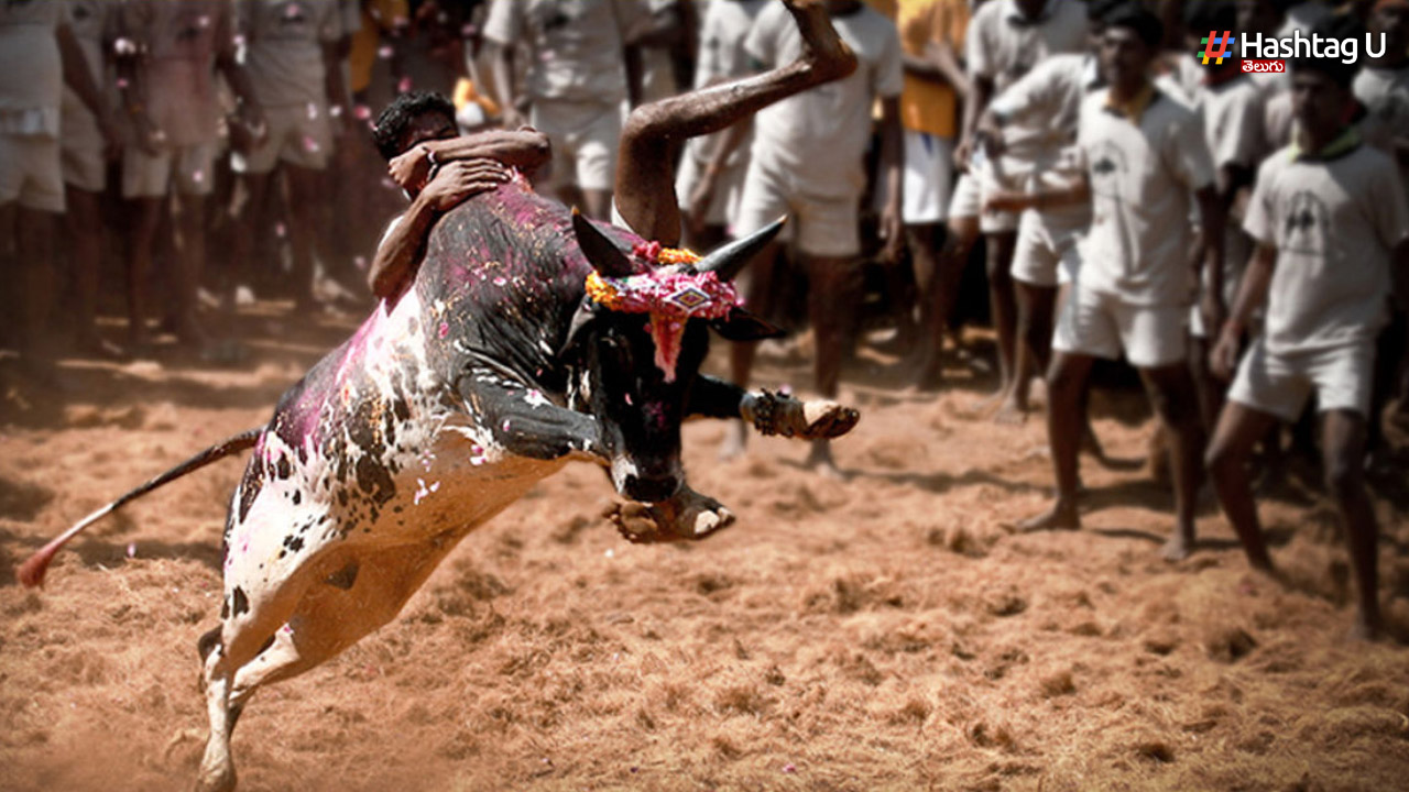 Tamil Nadu : త‌మిళ‌నాడులో జ‌ల్లిక‌ట్టులో విషాదం.. ఎద్దు పొడ‌వ‌డంతో 14 ఏళ్ల బాలుడు మృతి