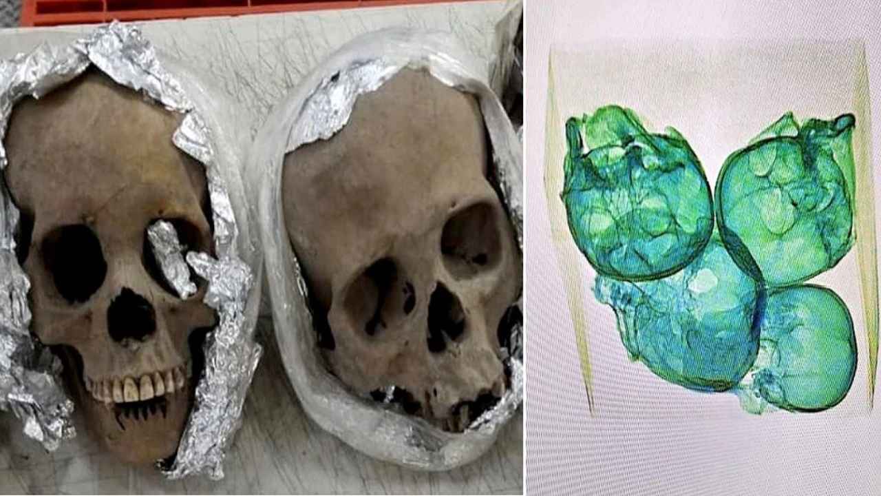 Four Human Skulls: విమానాశ్రయంలో మనుషుల పుర్రెల కలకలం..!