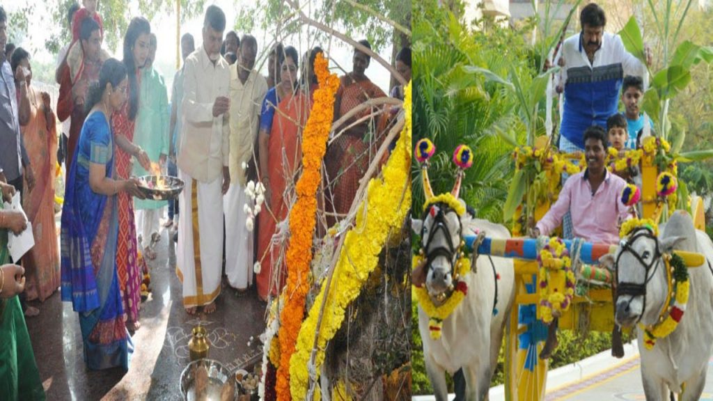 CBN Sankranthi