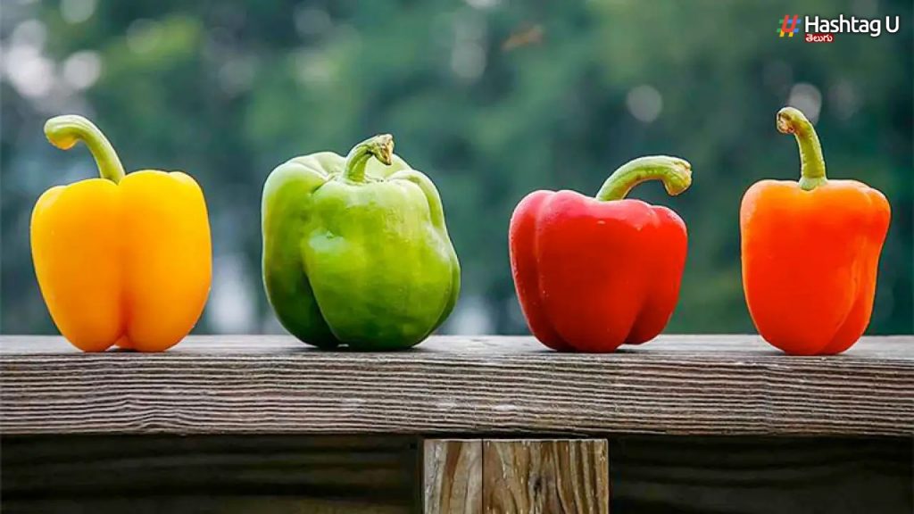 4 Reasons Why You Should Consume Bell Peppers Or Capsicums