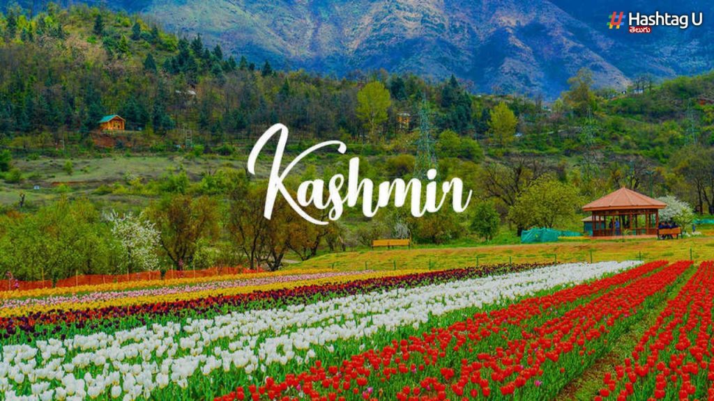 7 Things To Do In Kashmir This Spring 2023