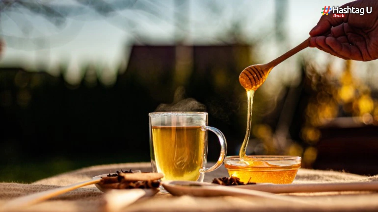 Honey Benefits: ఈ సీజనల్ వ్యాధులకు అద్భుతమైన పరిష్కారం.. తేనెతో కలిగే లాభాలు ఇవే..!
