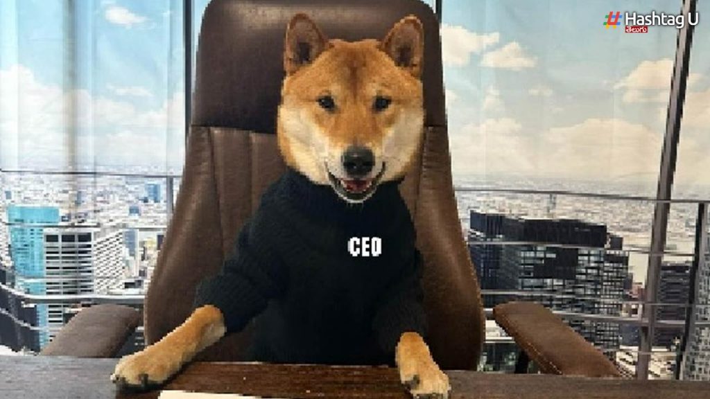 As Ceo Of Twitter, Musk Is A Pet Dog