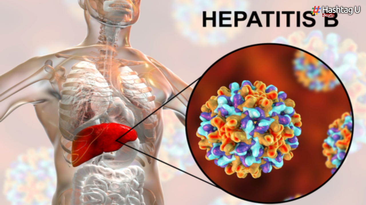Hepatitis B: సెక్స్ వల్ల కూడా “హెపటైటిస్ బి” వస్తుందా?