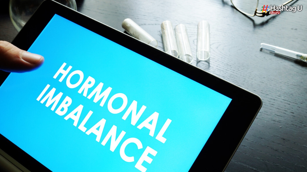 Hormones Imbalance: వీటితో హార్మోన్ల అసమతుల్యతకు చెక్‌ పెట్టేయండి