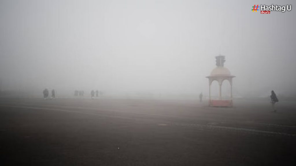 Dense Fog In Delhi, Visibility Level Drops