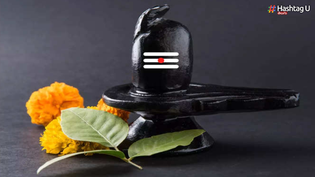 Shivaratri: శ్రీకాళహస్తి ముక్కంటి ఆలయంలో శివరాత్రి పర్వదిన వేడుకలు