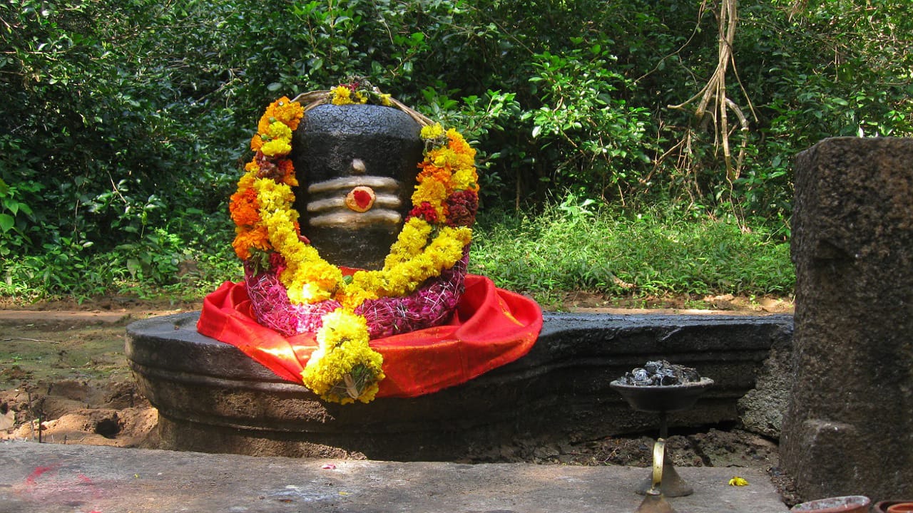 Lord Shiva: శివుడికి పొరపాటున కూడా వీటిని అస్సలు సమర్పించకండి.. అవేంటంటే?