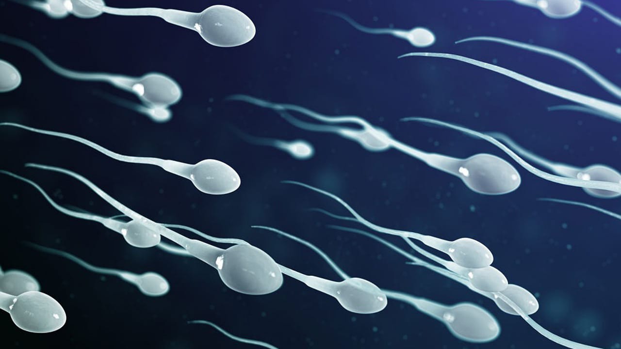 Sperm Donor: స్పెర్మ్ డొనేషన్ ద్వారా 550 మందికి తండ్రి అయిన డాక్టర్.. ఎక్కడంటే..?