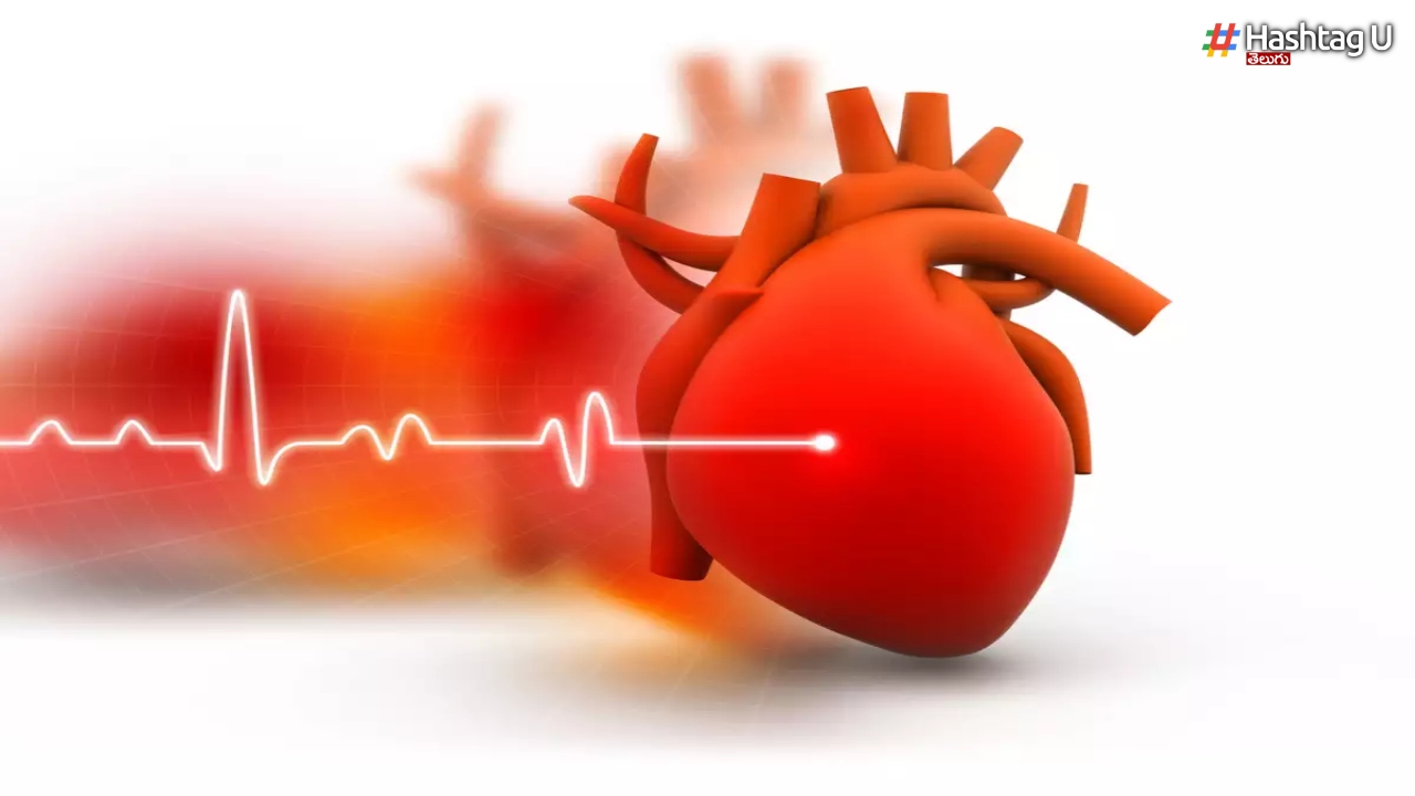 Heart Attack: గుండె ఆరోగ్యాన్ని గుర్తించే ముఖ్యమైన టెస్టులు, స్కాన్స్ ఇవీ