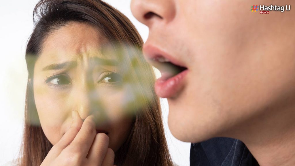 Bad Smell From Moth