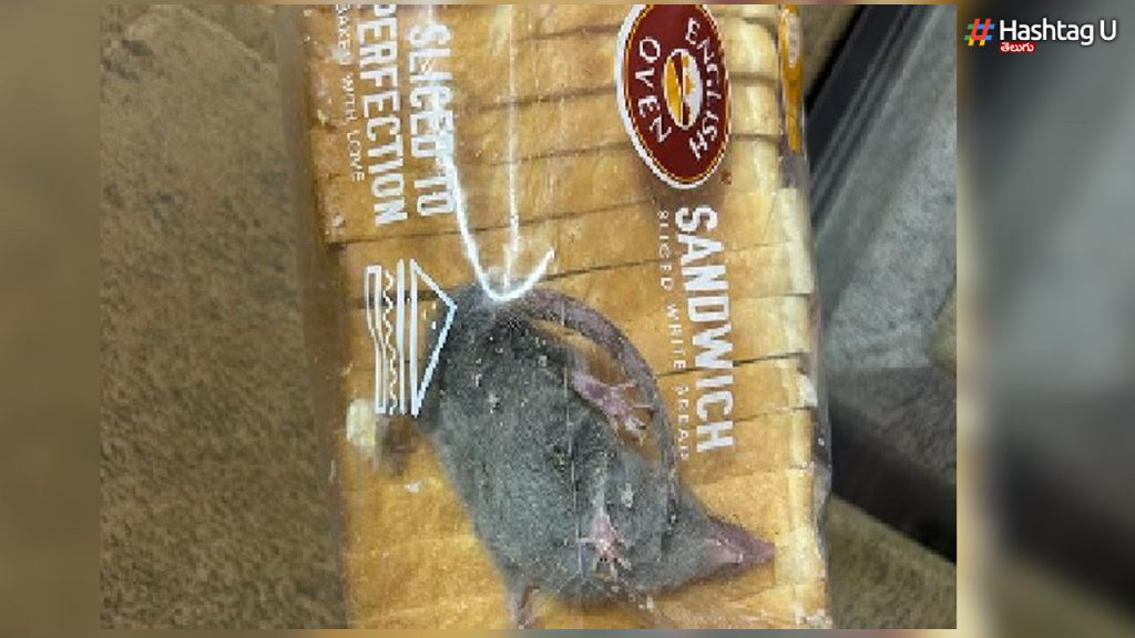 Rat in a Bread