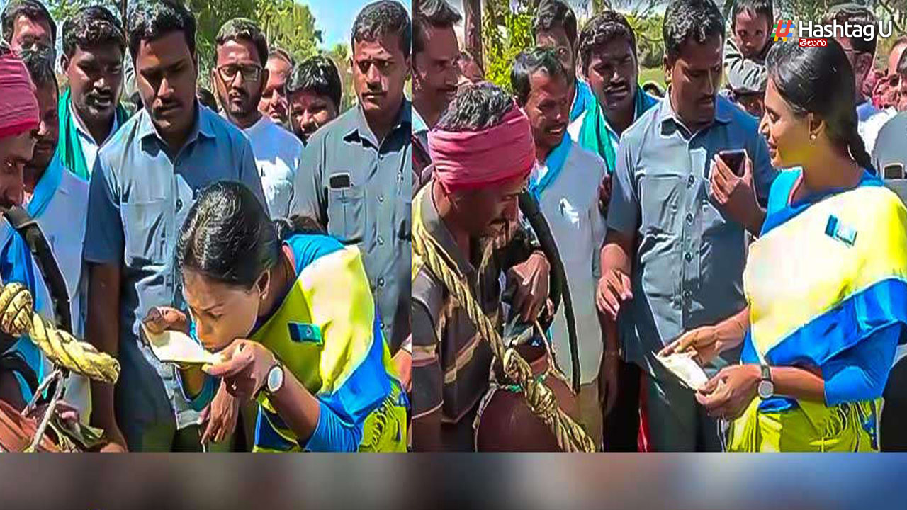 YS Sharmila Video: కల్లు తాగిన షర్మిల.. నెట్టింట వీడియో వైరల్!