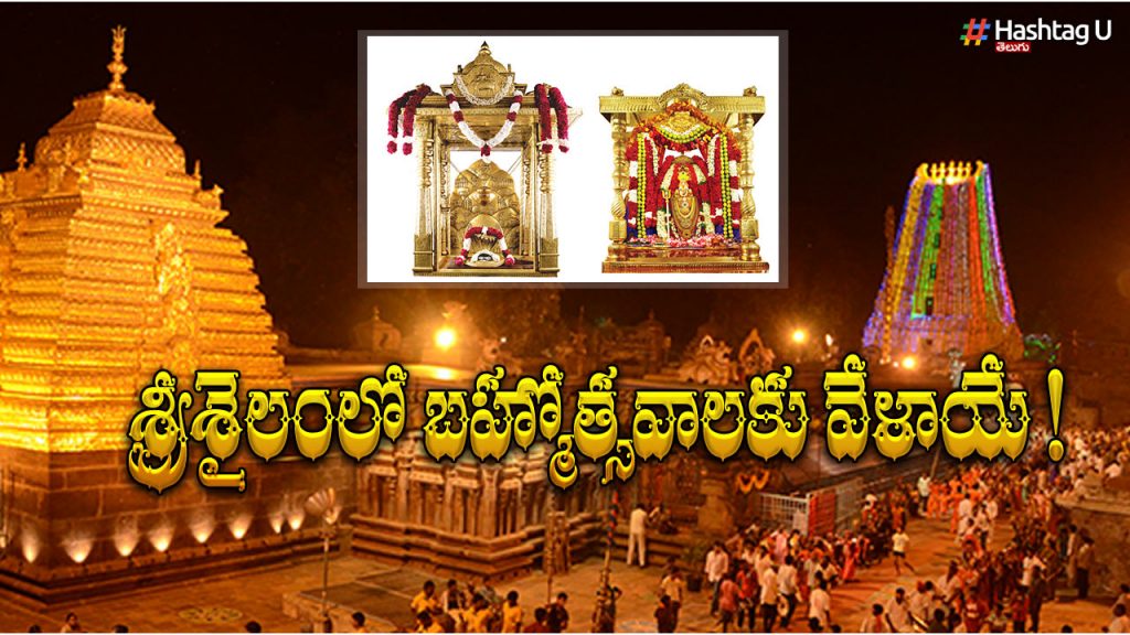 Mahashivratri Brahmotsavam has started in Srisailam!