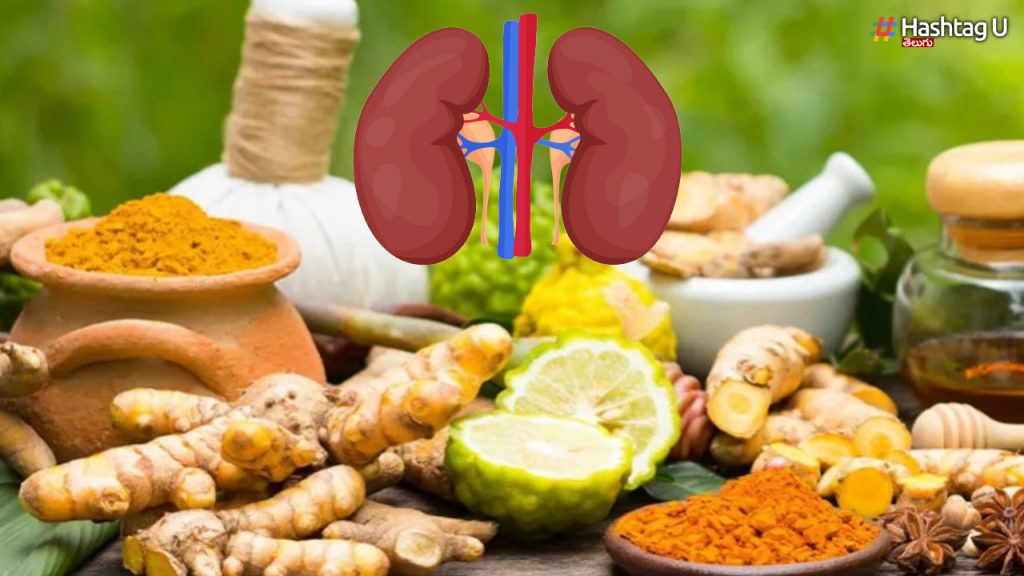 Do You Know The Natural Remedies For Kidney Health..
