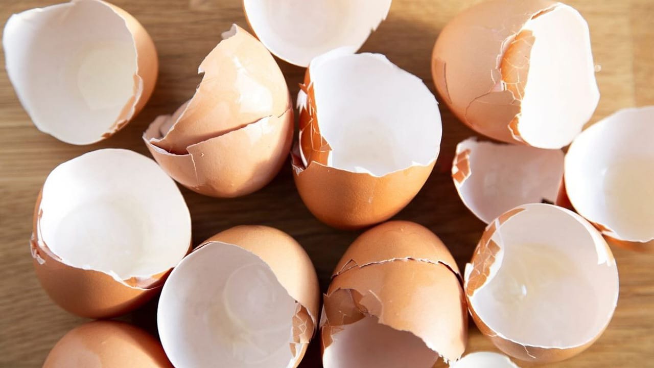 Egg Shell: కోడిగుడ్డుతో మాత్రమే కాదండోయ్.. పెంకుల వల్ల కూడా ఎన్నో ప్రయోజనాలు?