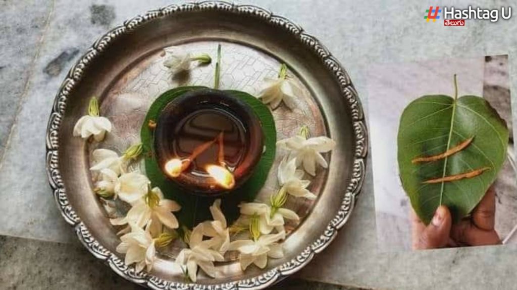 If You Put Pramida On Peepal Leaves And Light A Lamp With Sesame Oil
