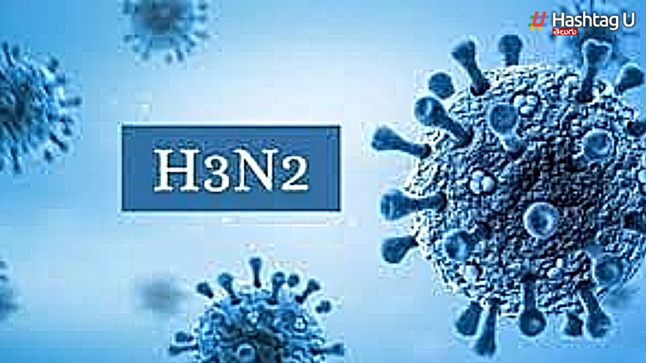 Influenza H3N2: దడ పుట్టిస్తున్న ఇన్ ఫ్లూయెంజా H3N2.. ఇవీ జాగ్రత్తలు..