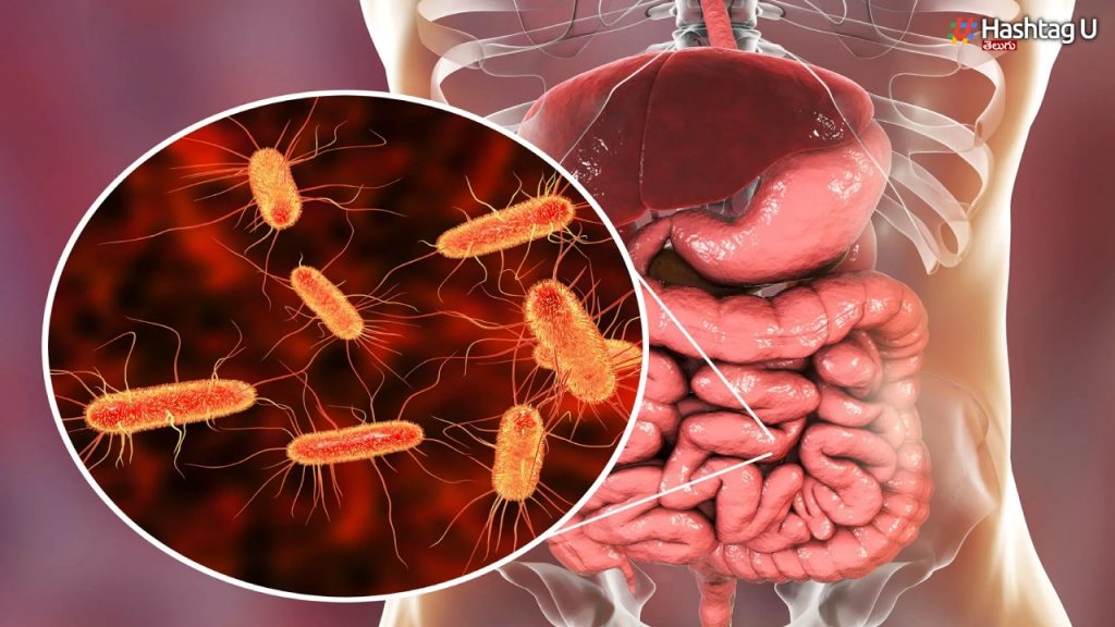 Scientists Have Discovered A Way To Grow Good Bacteria In Our Gut