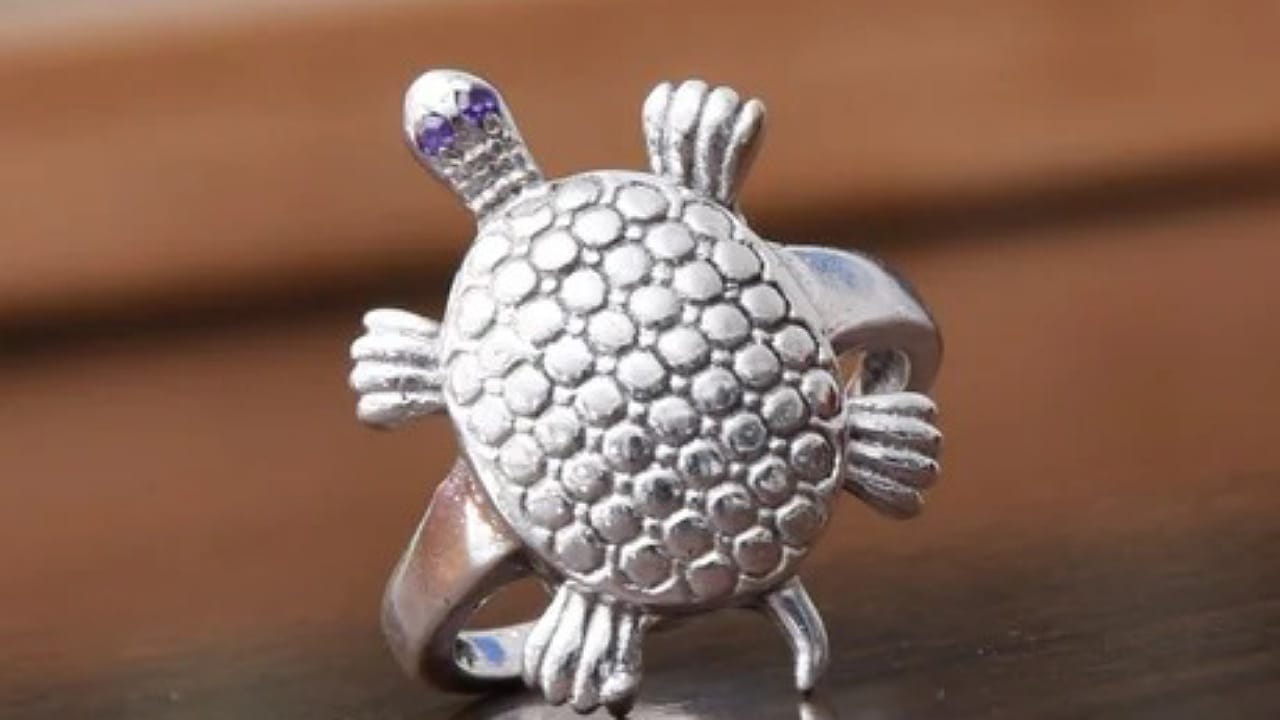 Silver Turtle: వెండి తాబేలు ఇంట్లో పెట్టుకోవడం వల్ల కలిగే లాభాలు ఇవే?