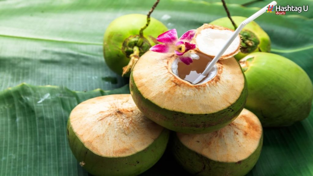 These Are The Health Benefits Of Drinking Coconut Water.