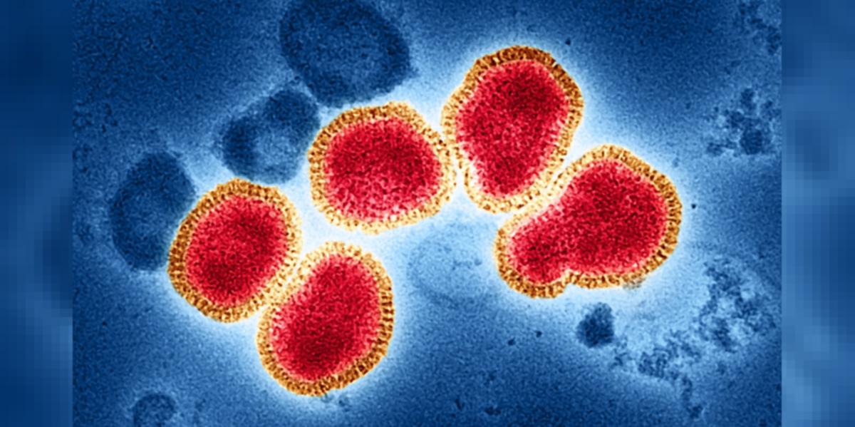 H3N2 Virus: దేశంలో వేగంగా వ్యాపిస్తోన్న H3N2 వైరస్.. మరొకరు మృతి !