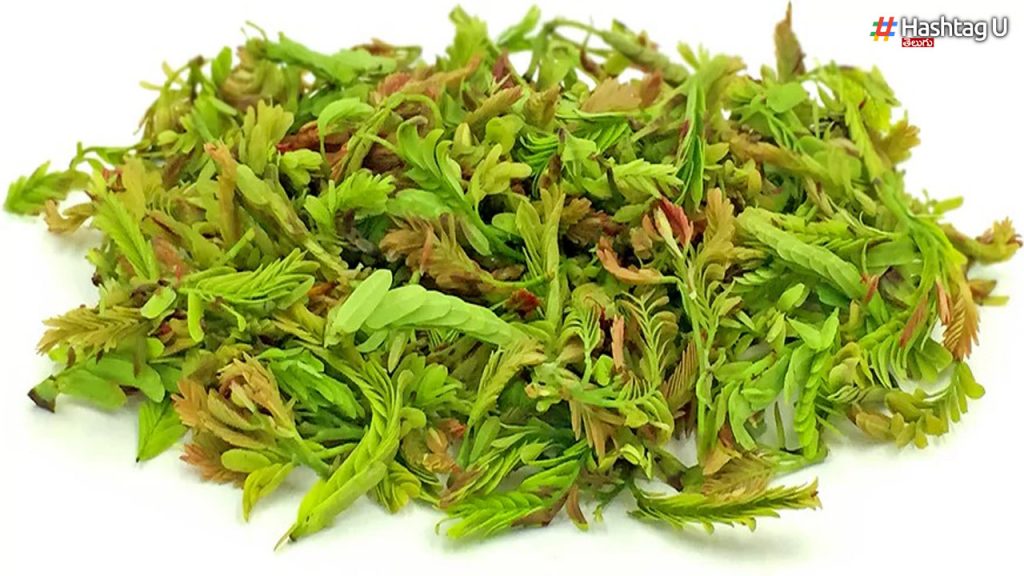 Do You Know The Health Benefits Of Eating Tamarind Leaves..