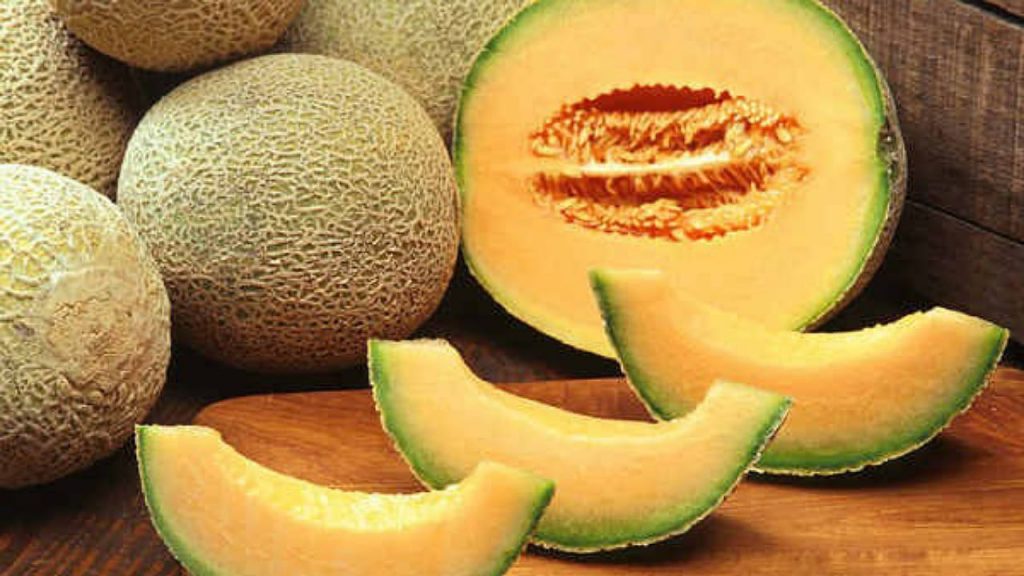 Muskmelon
