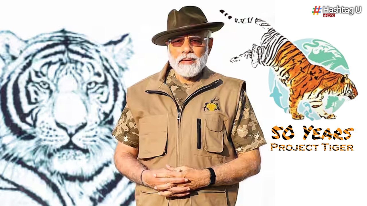 Project Tiger: 50 ఏళ్లు పూర్తి చేసుకున్న ప్రాజెక్టు టైగర్