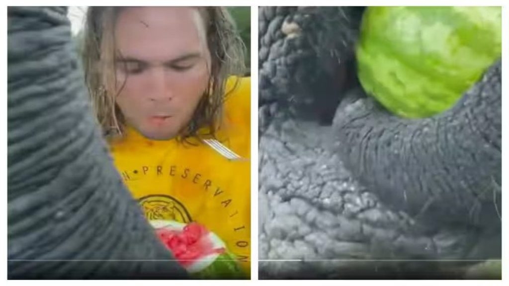Viral Video