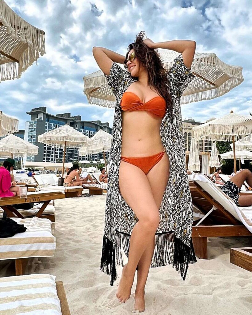 Shama Sikander Displays Her Toned Figure In A Brown Bikini. Resized Image