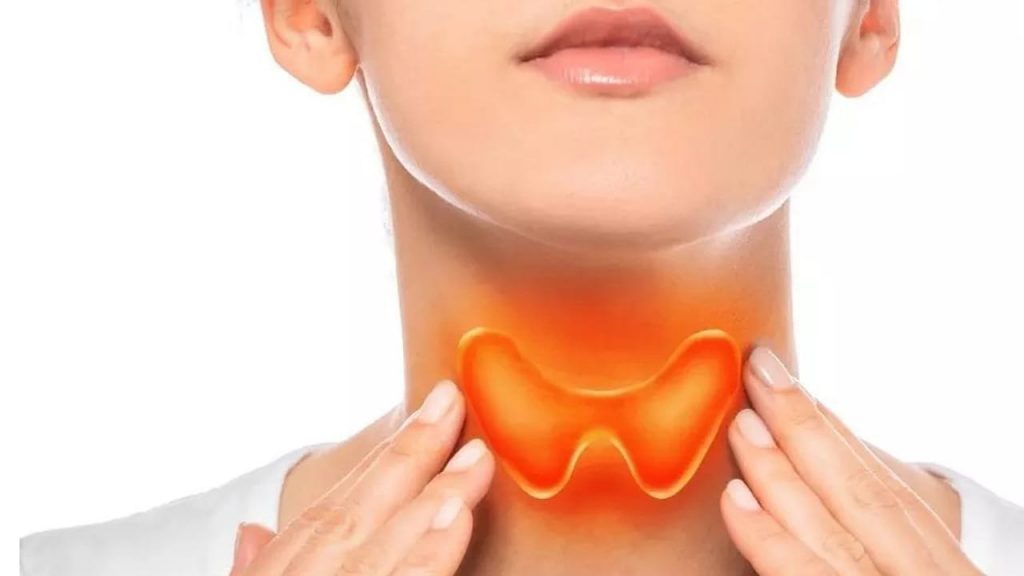 Thyroid