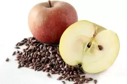 Apple Seeds: యాపిల్ గింజలు తింటున్నారా..? ప్రాణాలు కూడా పోయే అవకాశం