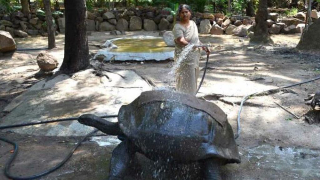 HYD zoo Park