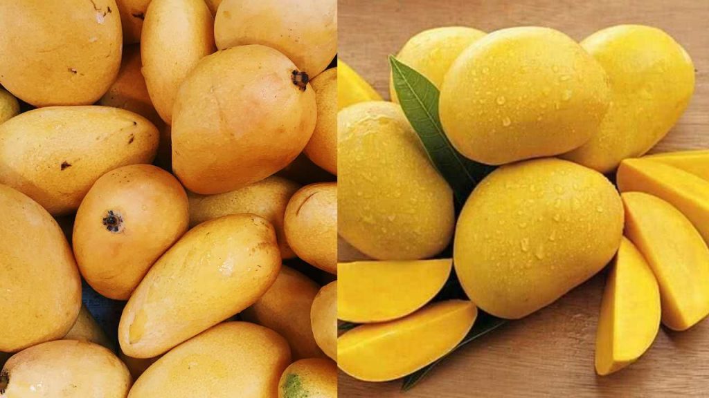 Benefits of Mangoes in Summer