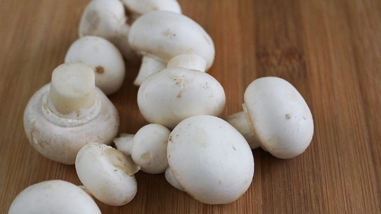Mushrooms: మష్రూమ్స్ తో బరువు తగ్గడంతో పాటు మరెన్నో ప్రయోజనాలు?