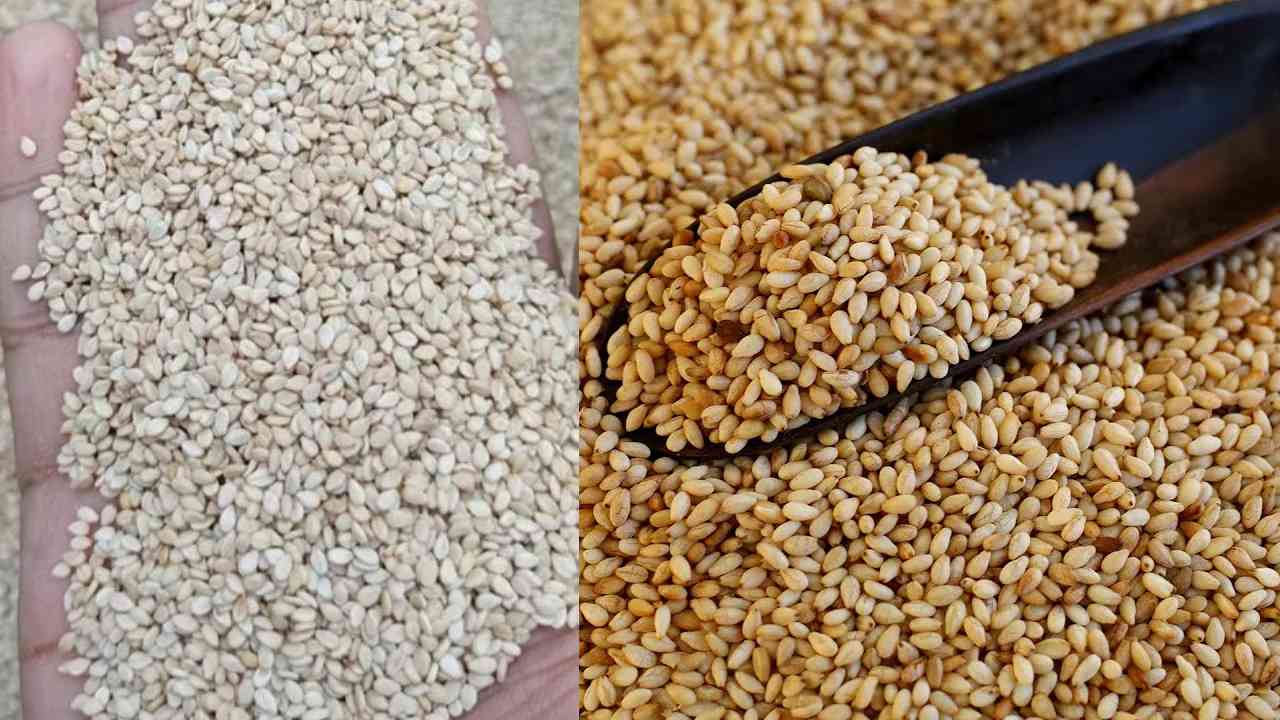 Sesame Seeds : తెల్ల నువ్వులతో ఆరోగ్య ప్రయోజనాలు.. మహిళలు కచ్చితంగా తినాలి..