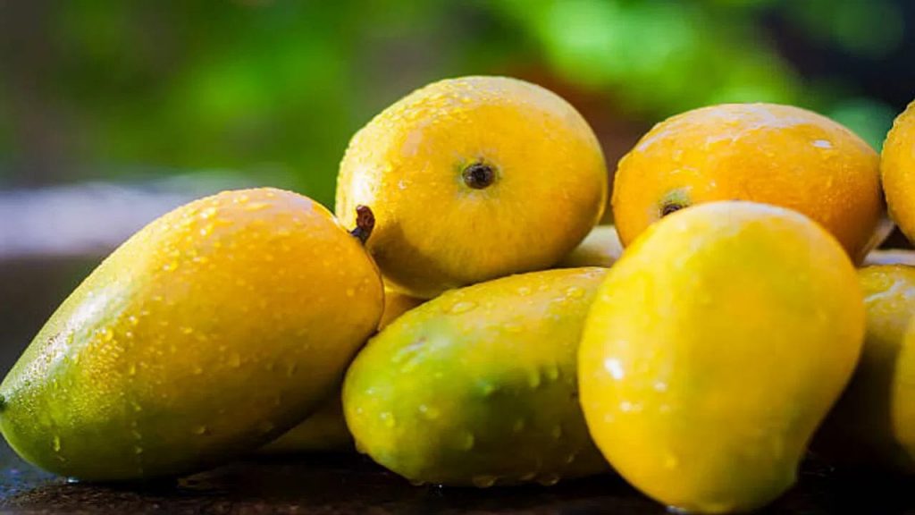 India Mango Exports