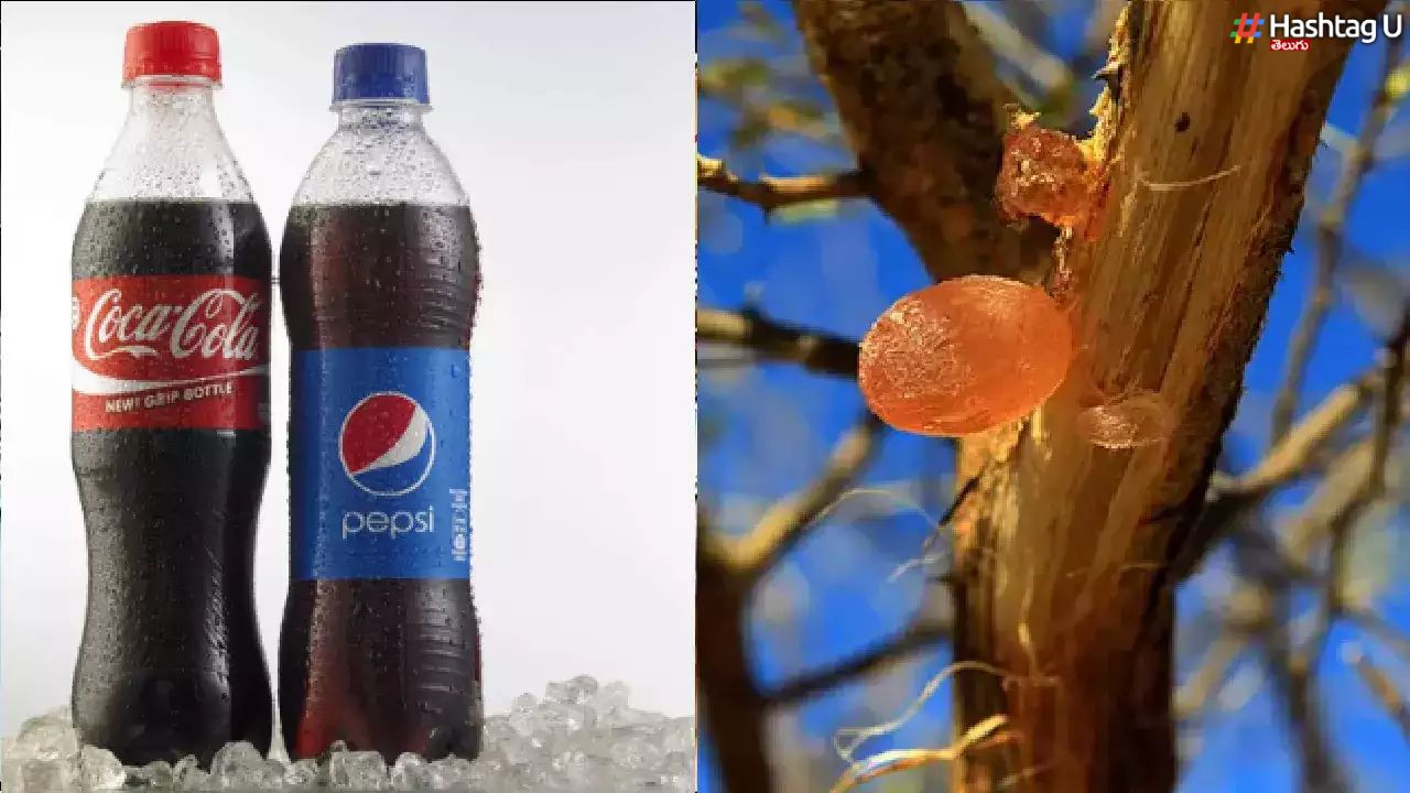 Sudan War – Pepsi Cola : పెప్సీ, కోలాలపై సూడాన్ యుద్ధం ఎఫెక్ట్