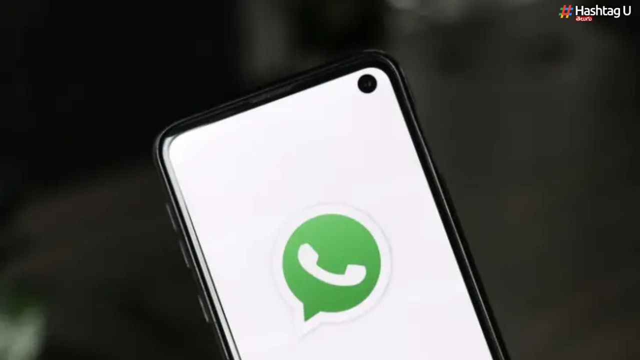 WhatsApp bug :అదంతా “బగ్” మాయ.. వాట్సాప్ తప్పు లేదు