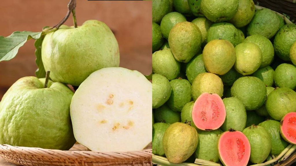 Benefits of Guava Fruit must know about it and eat Guava