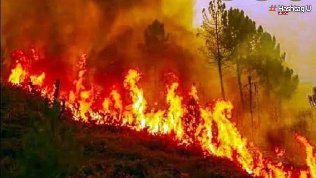 Russia wildfire