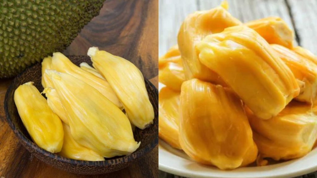 Benefits of Panasa Tonalu Jack Fruit